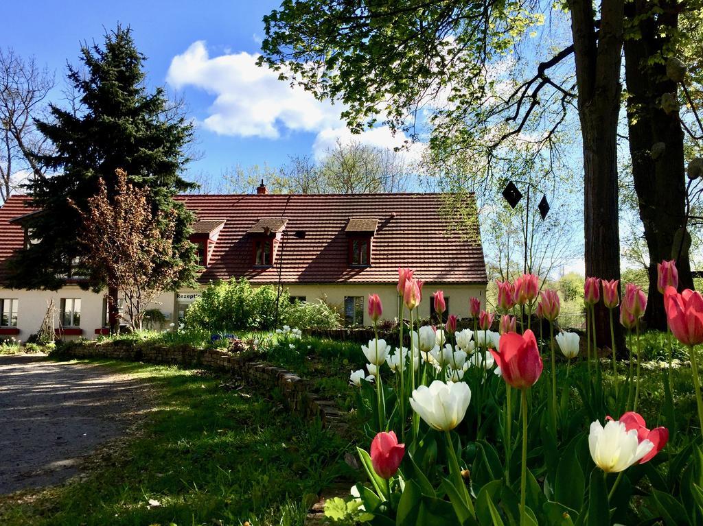 Gaestehaus Schloss Plaue Brandenburg  Exteriör bild