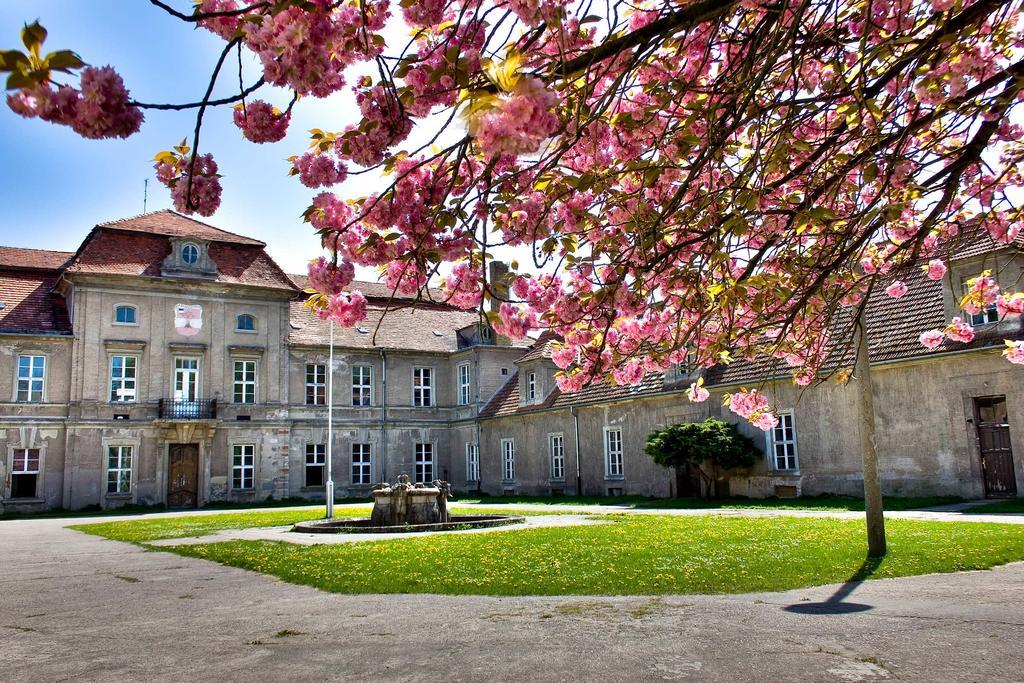 Gaestehaus Schloss Plaue Brandenburg  Exteriör bild
